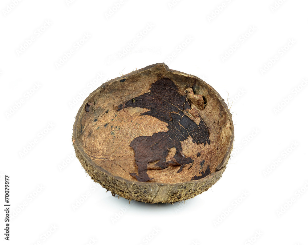coconut shell coconut shell