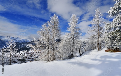 forêt en hiver © Tilio & Paolo