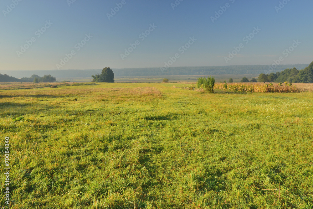 Утро за селом