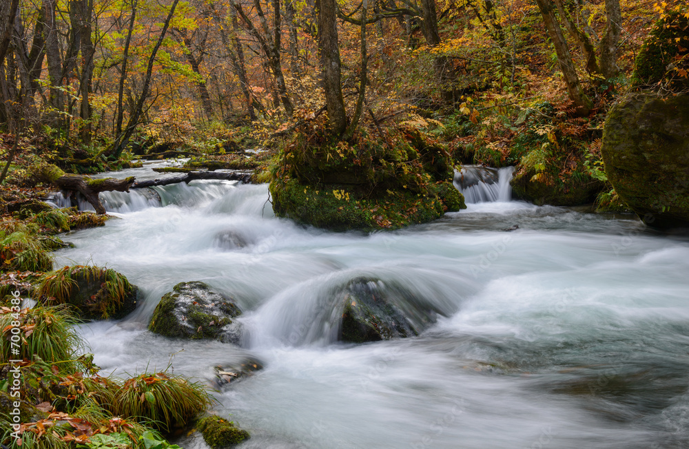 Oirase gorge in Autumn, in Aomori, Japan