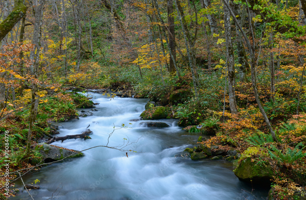 Oirase gorge in Autumn, in Aomori, Japan