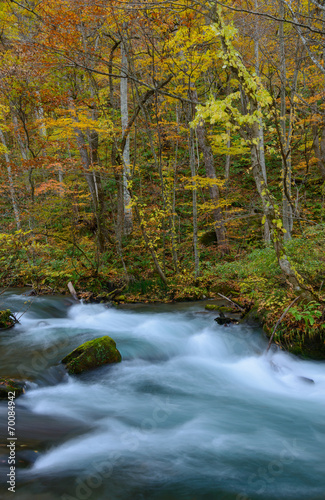 Oirase gorge in Autumn, in Aomori, Japan