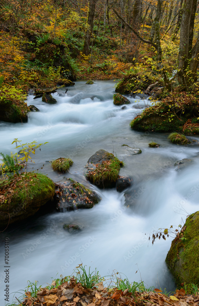 Oirase gorge in Autumn, in Aomori, Japan Oirase gorge in Autumn, in Aomori, Japan