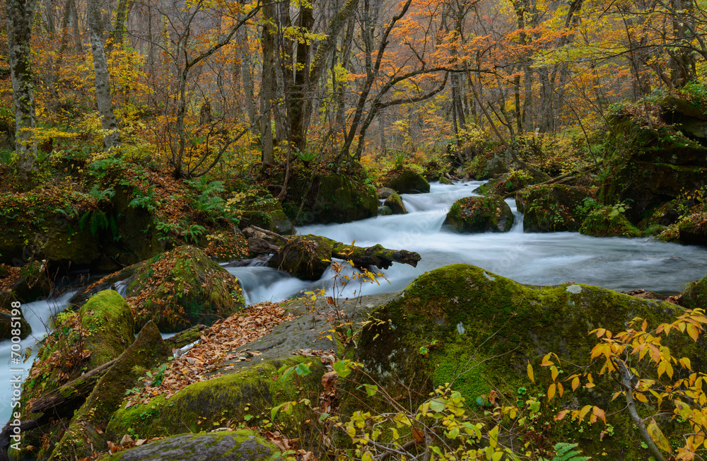 Oirase gorge in Autumn, in Aomori, Japan