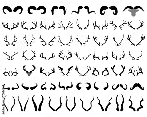 Black silhouettes of different horns, vector