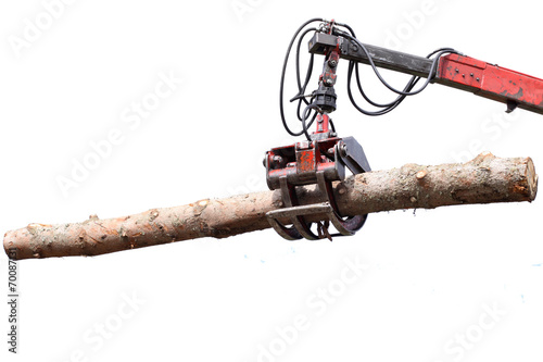 Jaws of a crane loading logs, isolated