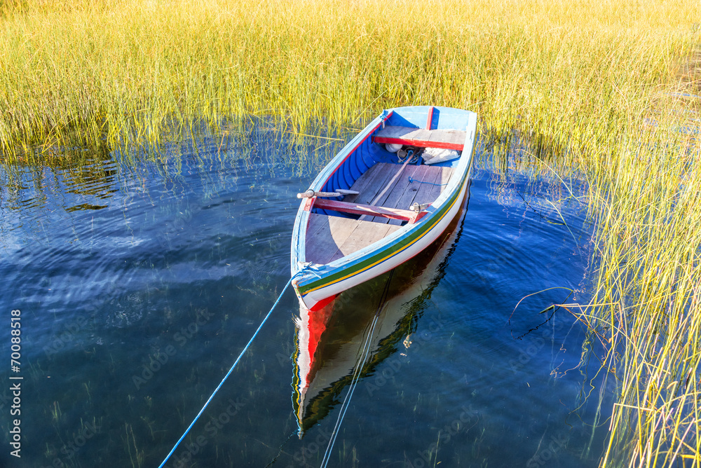 Obraz premium Colorful Boat and Reeds