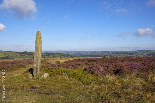 moorland standing stone