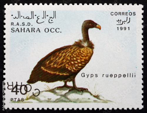 Postage stamp Sahara 1991 Ruppells Vulture, Bird