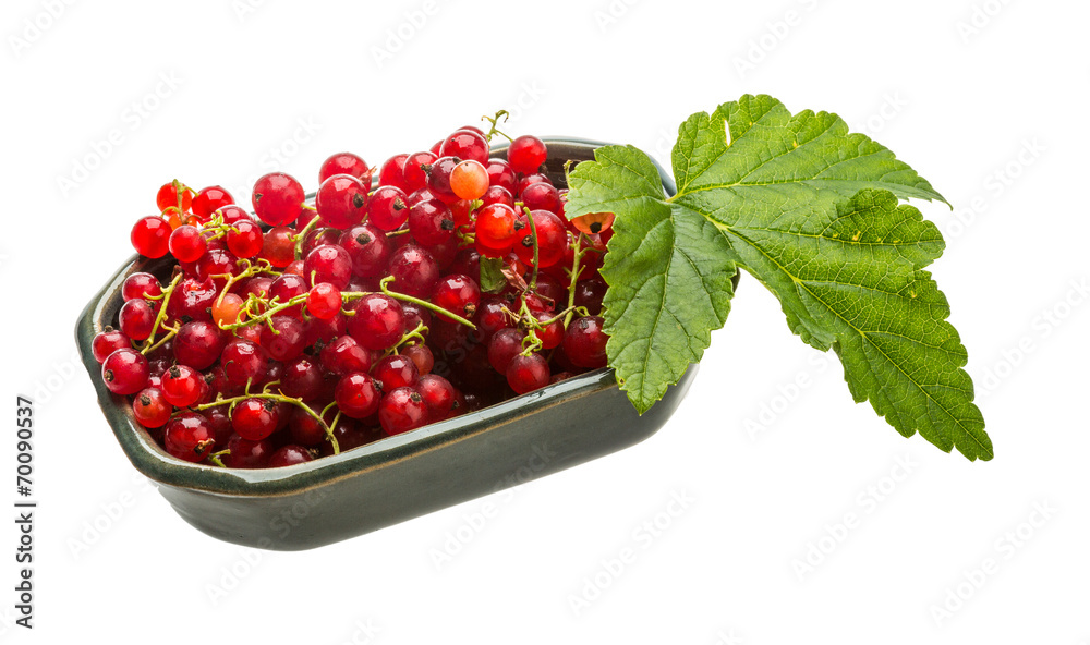 Red currant Red currant