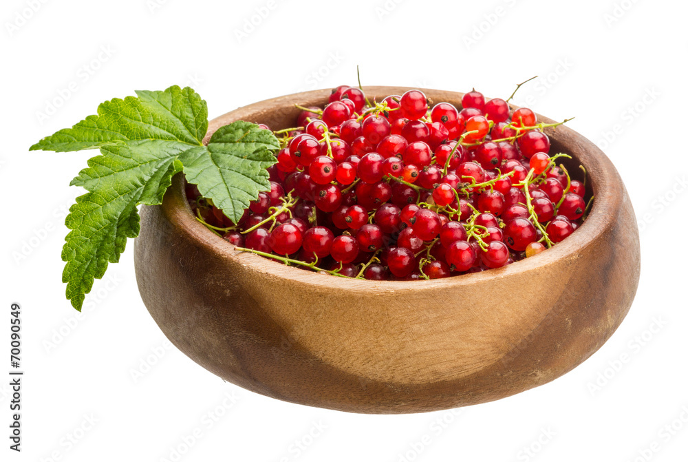 Red currant Red currant