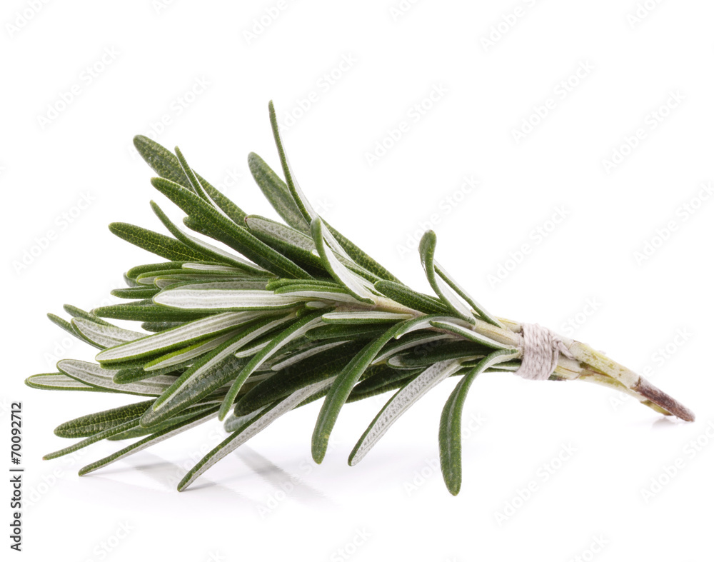 Fototapeta premium rosemary herb spice leaves isolated on white background cutout