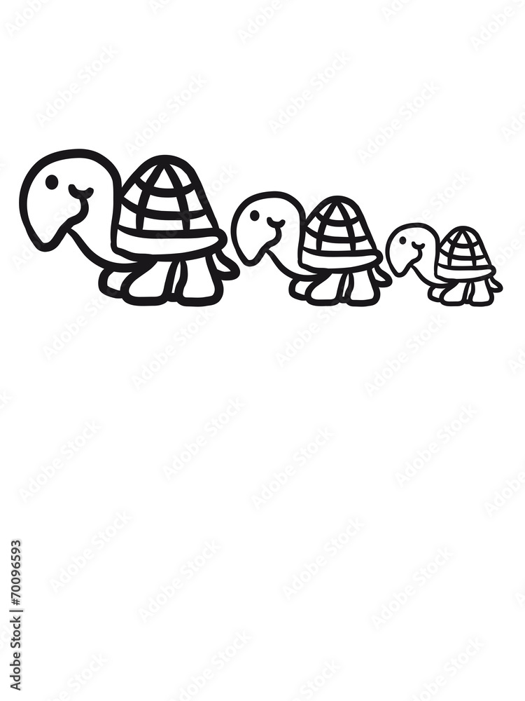 Fototapeta premium Süße niedliche kleine baby Schildkröten