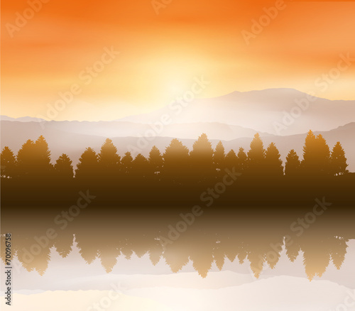 Forest landscape background