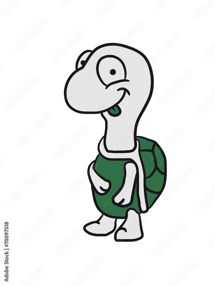 Süße kleine satte Schildkröte