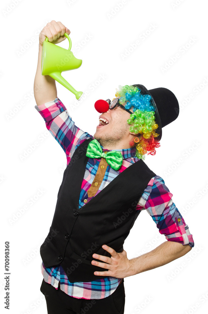 Clown isolated on the white background