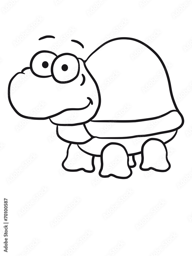 Fototapeta premium Schildkröte