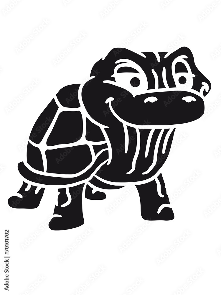 Fototapeta premium Coole kleine alte lustige Schildkröte