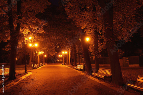 Night in Mariinsky park