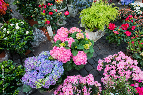 Fototapeta Naklejka Na Ścianę i Meble -  Street flower shop with colourful flowers