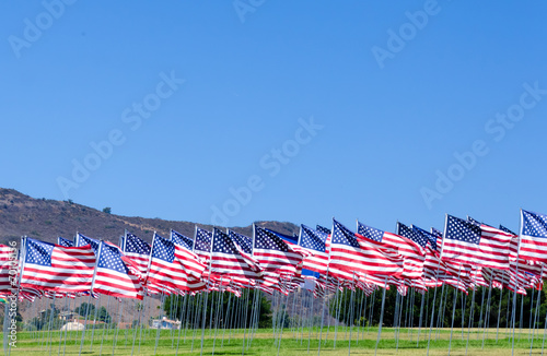 American flags on a field