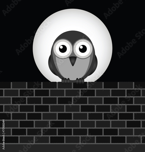 Monochrome night owl perched on brick wall