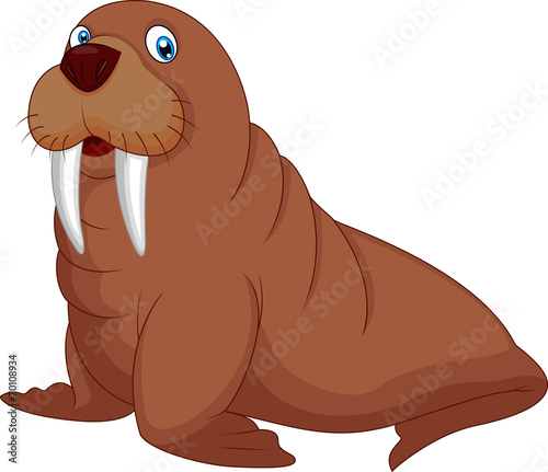 Cartoon walrus photo