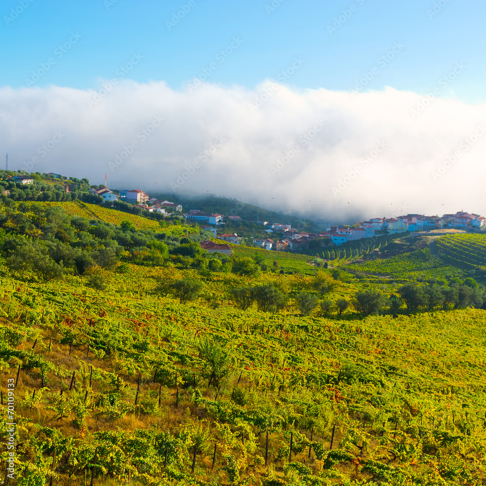 Obraz premium Landscape