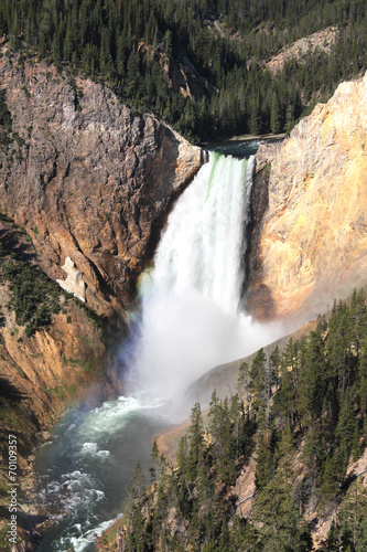 Yellowstone - Grand Canyon / Lower Falls