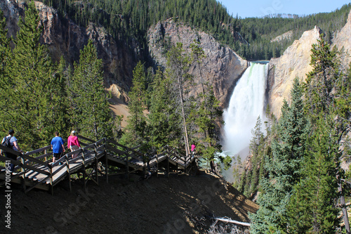 Yellowstone - Grand Canyon / Lower Falls photo