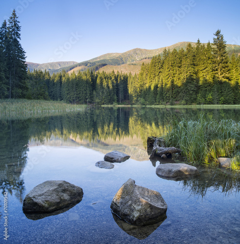 stones  in Vrbicke lake photo