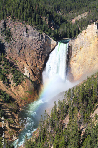 Yellowstone - Grand Canyon / Lower Falls
