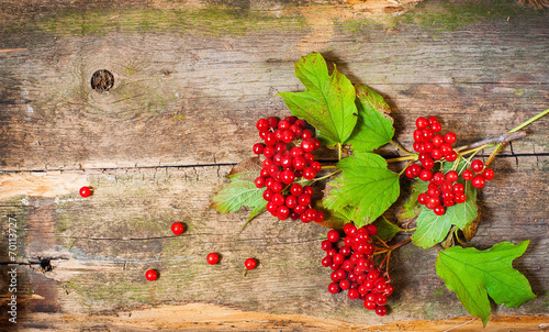 viburnum on vintage wooden boards background autumn concept