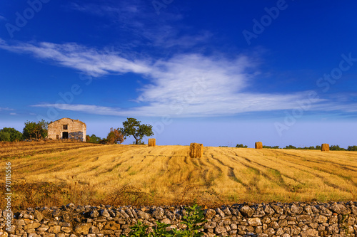 Paesaggio rurale:balle di fieno.-ITALIA(Puglia)- photo