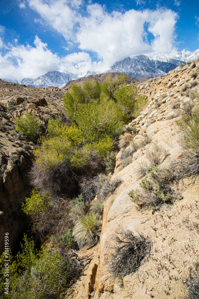 Eastern Sierras Eastern Sierras