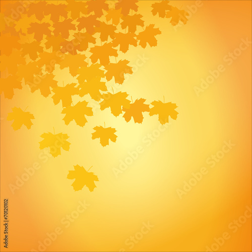 Herbst blätter
