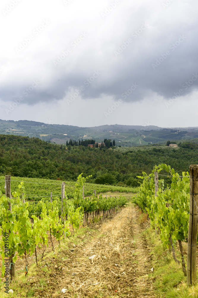 Obraz premium Chianti, Tuscany