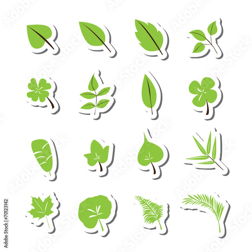 leaf icon vector set