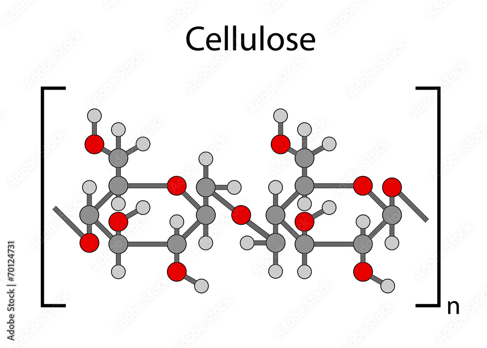 Structural chemical formula of cellulose polymer Stock Vector | Adobe Stock