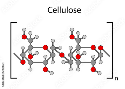Structural chemical formula of cellulose polymer photo