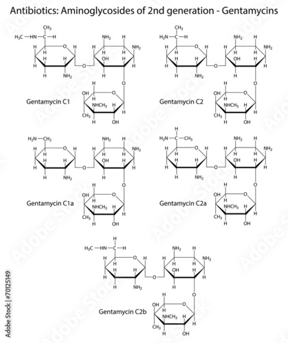 Chemical formulas of aminoglycoside antibiotics - gentamycins