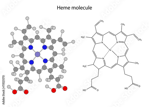Structural chemical formula of  heme molecule photo