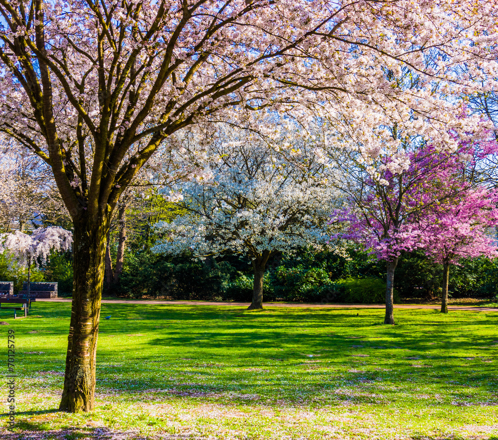 Spring nature background. Spring landscape Spring nature background. Spring landscape