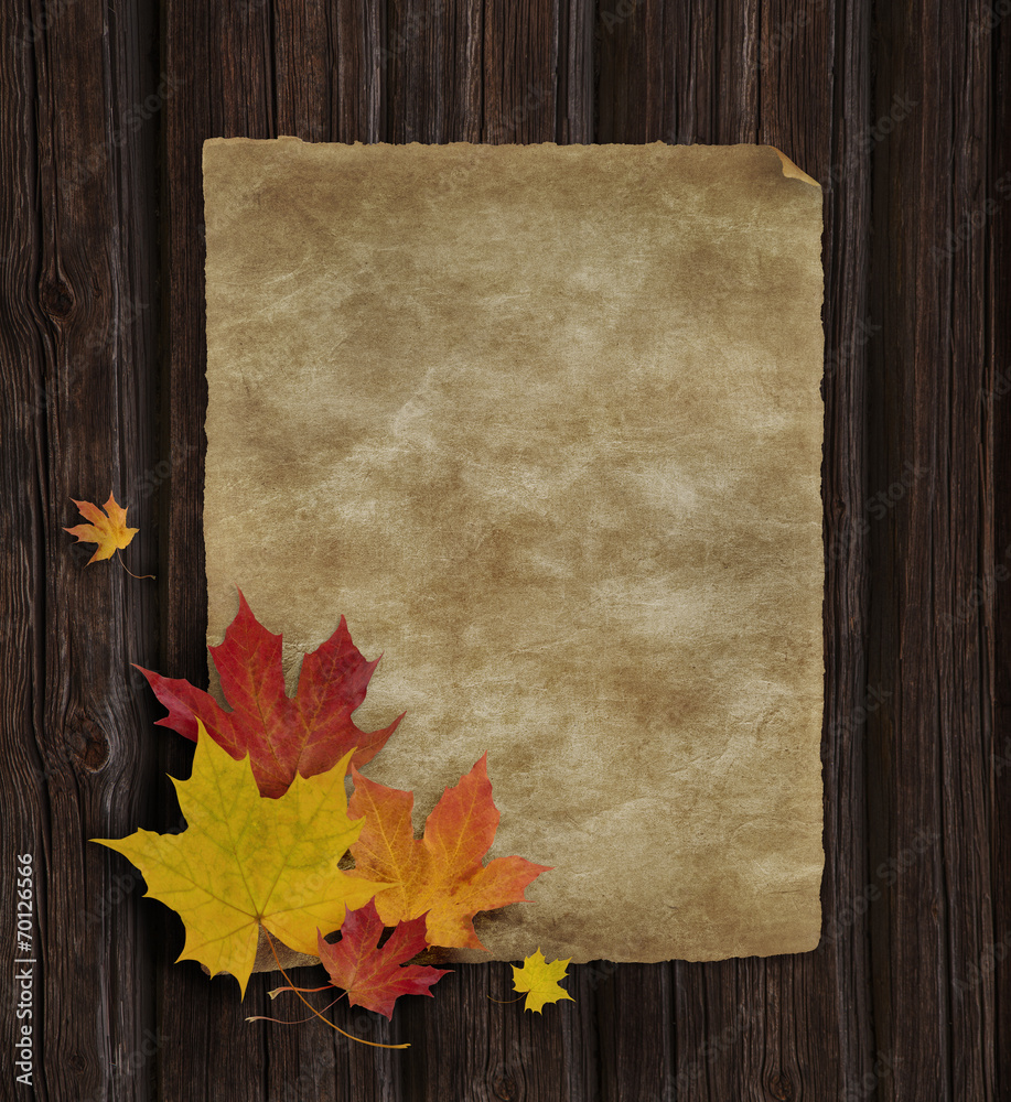 Autumn_Announcement Autumn_Announcement
