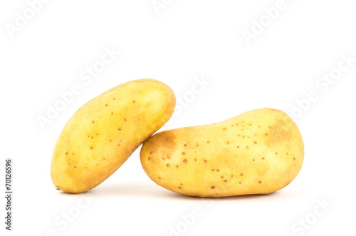 Potato