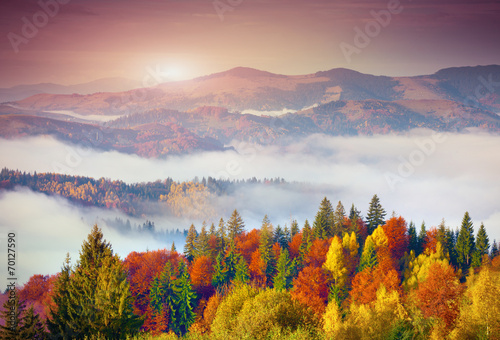 Colorful autumn morning in the Carpathian mountains. Sokilsky ri photo