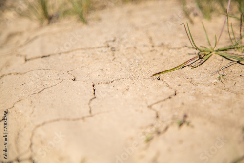 Dry soil