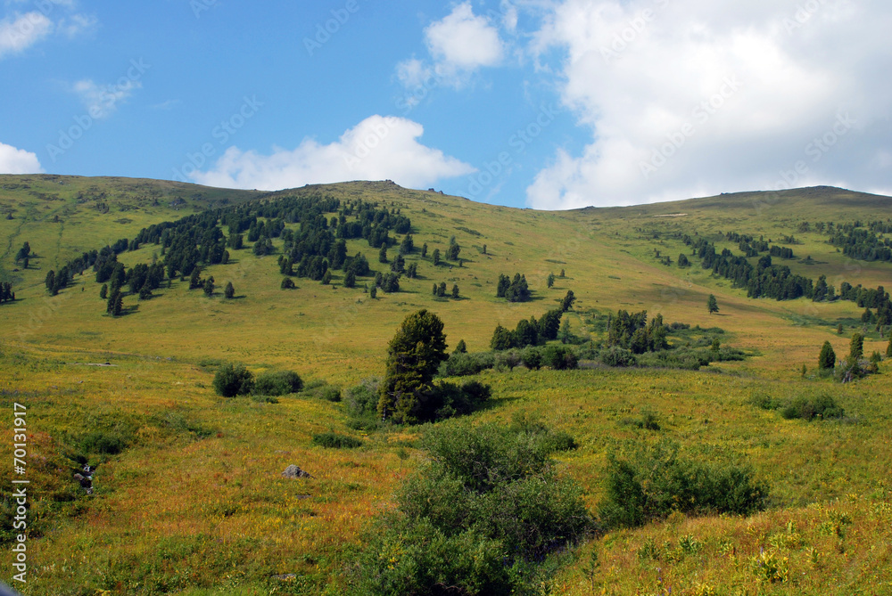 The Vastness Of Altai
