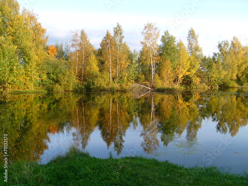 autumn trees