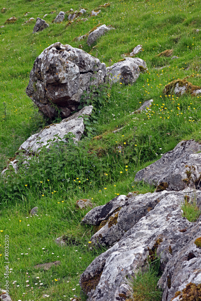 Limestone rocks in the Pennine hills.